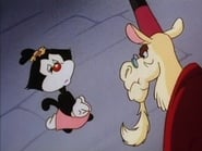 Les Animaniacs season 1 episode 20