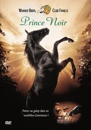 Voir film Prince Noir en streaming