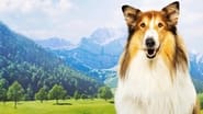 Lassie - Ein neues Abenteuer wallpaper 