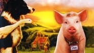 Babe, le cochon devenu berger wallpaper 