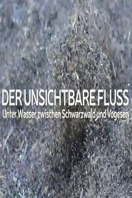 poster Un fleuve invisible