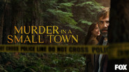 Murder in a Small Town  