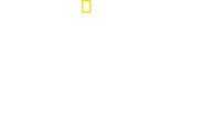 Logo of Hitler's Battle Against the Press image size 1983x1285