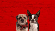 Backstreet Dogs wallpaper 