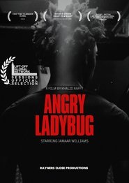 poster Angry Ladybug