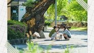 Summer Strike  