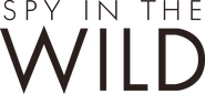 Logo of Spy in the Wild image size 2549x1177