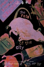 The Rats of the City