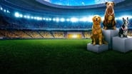 Puppy Bowl Presents: The Summer Games wallpaper 