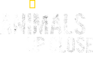 Logo of Animals Up Close with Bertie Gregory image size 1970x1300
