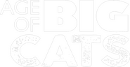 Logo of Age of Big Cats image size 2499x1299