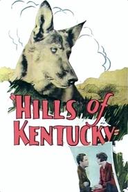 Hills of Kentucky