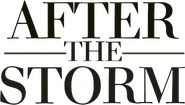 Logo of After the Storm image size 502x284