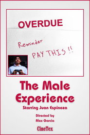 poster The Male Experience