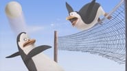 Les pingouins de Madagascar season 1 episode 17