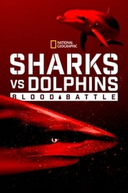 Sharks vs. Dolphins: Blood Battle 2020 123movies