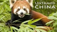 Backdrop of Untamed China image size 1280x720