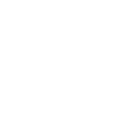 Logo of The Hidden Life of Trees image size 1247x1294