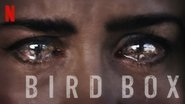 Backdrop of Bird Box image size 1330x748
