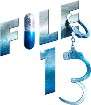Logo of File 13 image size 463x536