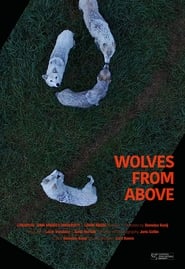 Wolves From Above