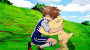 Digimon Adventure tri. 1: Retrouvailles wallpaper 