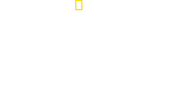 Logo of Deadly Instincts image size 1917x1063
