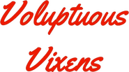 Logo of Voluptuous Vixens image size 504x280