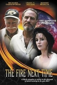 Poster of The Fire Next Time image size 502x750