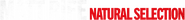 Logo of Matt Rife: Natural Selection image size 1278x140