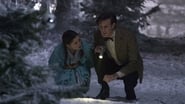 Doctor Who - Le docteur, la veuve et la forêt de Noël wallpaper 