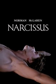 Poster of Narcissus image size 1177x1765