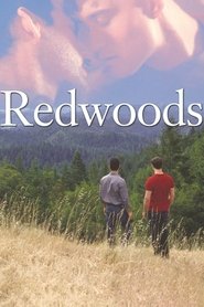 Poster of Redwoods image size 960x1440