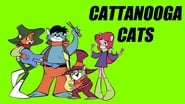 Cattanooga Cats  