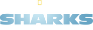 Logo of United Sharks of America image size 3916x1300