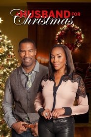 A Husband for Christmas 2016 Soap2Day