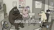 Animal Behaviour wallpaper 