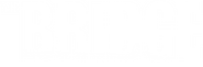 Logo of The Bridge image size 1054x349