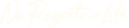 Logo of No Regrets In Life image size 912x204