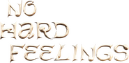 Logo of No Hard Feelings image size 2468x1216