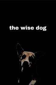 the wise dog movie poster