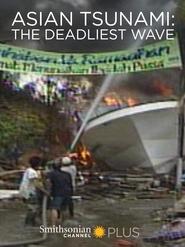 poster Asian Tsunami: The Deadliest Wave