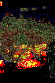 This Isn't a Landscape