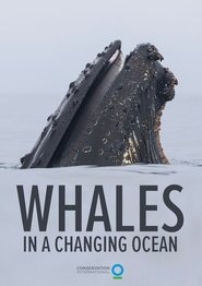 poster Whales in a Changing Ocean