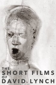 poster The Short Films of David Lynch