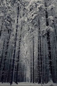 Ethan's Still Image Film