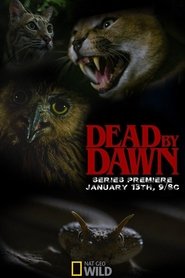Poster of Dead By Dawn image size 800x1200