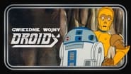 Star Wars : Droids  