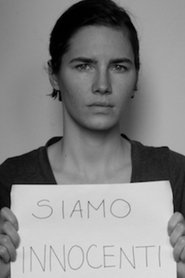 poster The Amanda Knox Saga