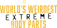 Logo of World's Weirdest: Extreme Body Parts image size 3840x1861